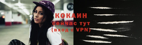 стаф Майский