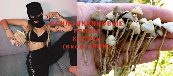 MDMA Долгопрудный