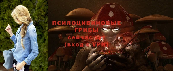 крисы Лихославль
