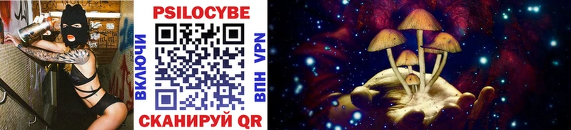 Галлюциногенные грибы Cubensis  купить закладку  Каменск-Уральский 