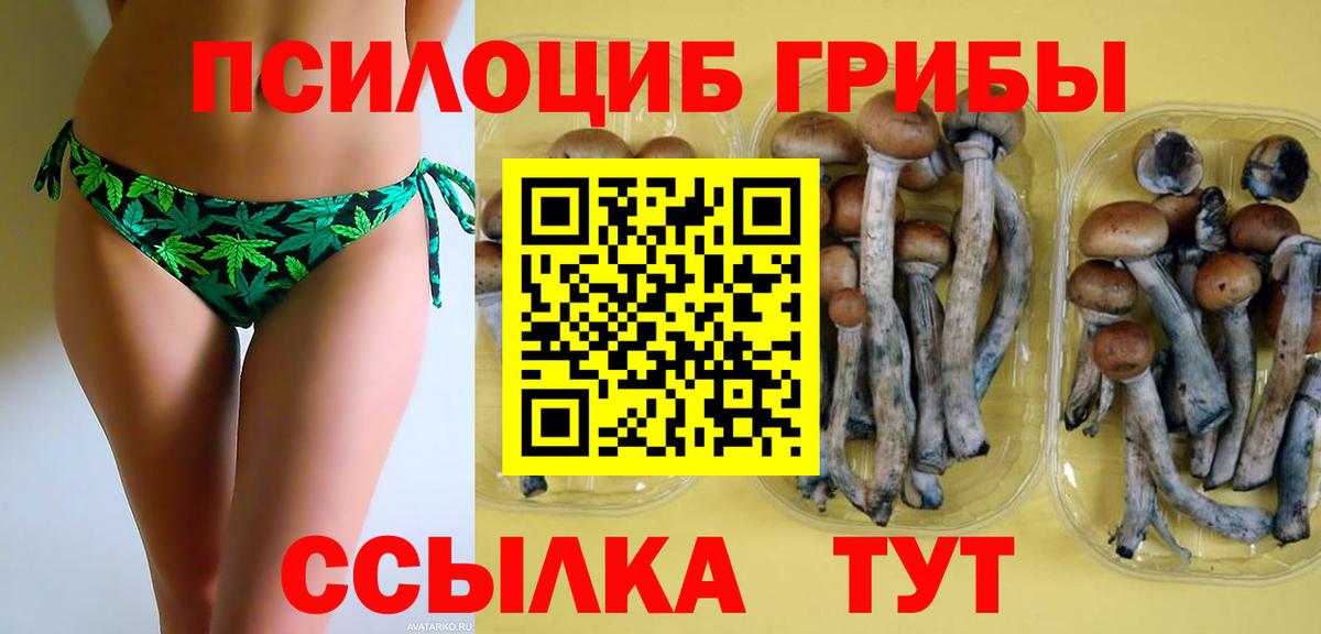 Каменск-Уральский  Галлюциногенные грибы Psilocybe  Вход с VPN 